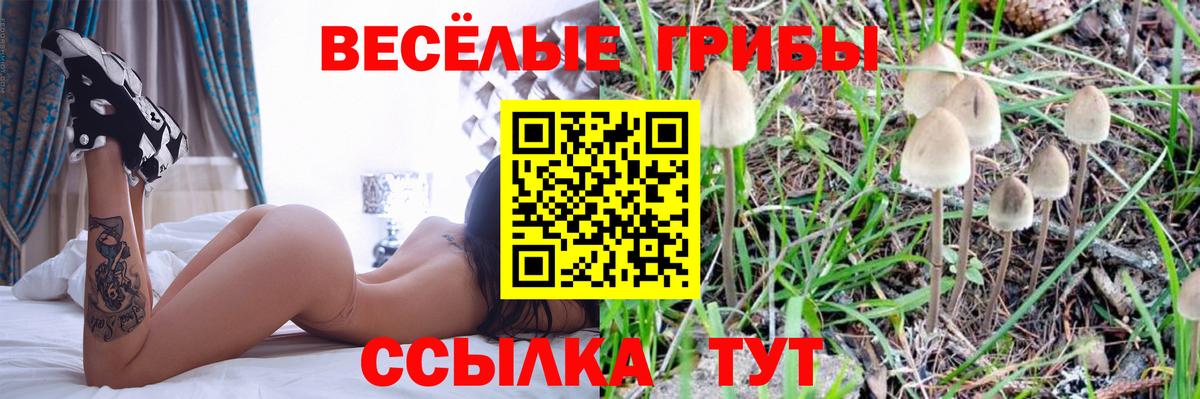 Псилоцибиновые грибы MAGIC MUSHROOMS Верхняя Пышма